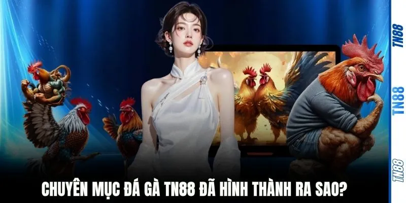 Chuyên mục đá gà TN88 đã hình thành ra sao?