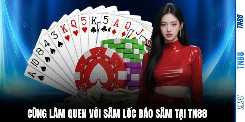 Cùng làm quen với Sâm Lốc Báo Sâm tại TN88