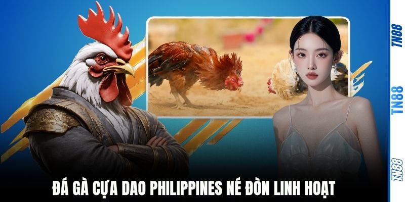 Đá gà cựa dao Philippines né đòn linh hoạt