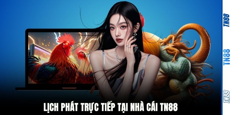 Lịch phát trực tiếp tại nhà cái TN88