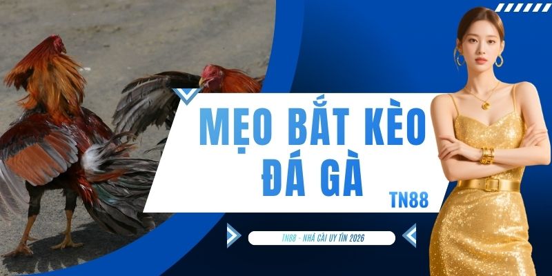 Mẹo Bắt Kèo Đá Gà