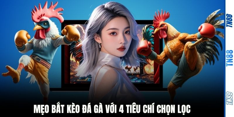 Mẹo bắt kèo đá gà với 4 tiêu chí chọn lọc