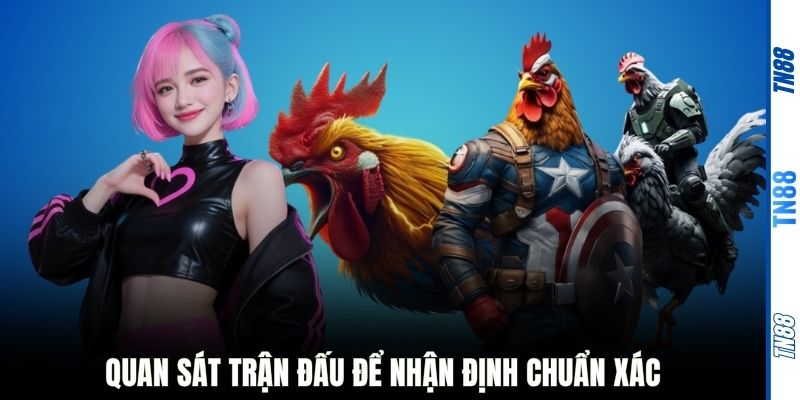 Quan sát trận đấu để nhận định chuẩn xác