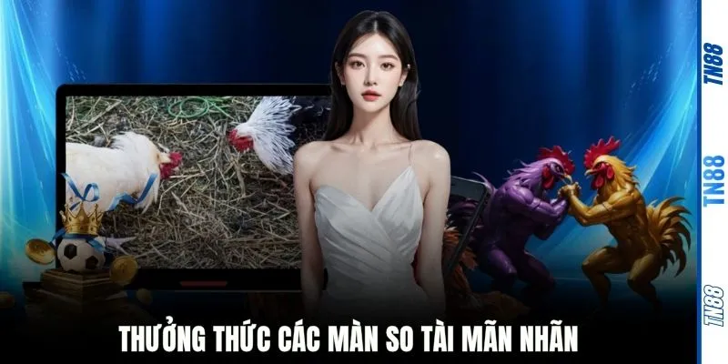 Thưởng thức các màn so tài mãn nhãn