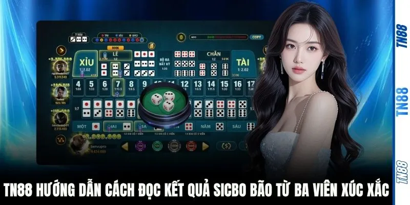 TN88 hướng dẫn cách đọc kết quả Sicbo Bão từ ba viên xúc xắc