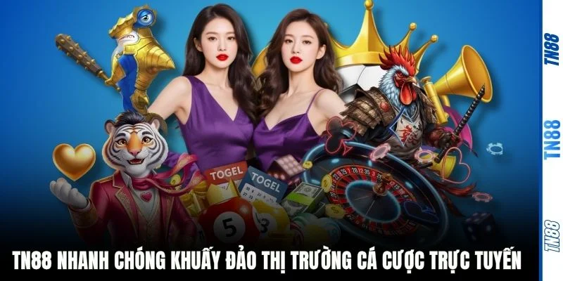 TN88 nhanh chóng khuấy đảo thị trường cá cược trực tuyến