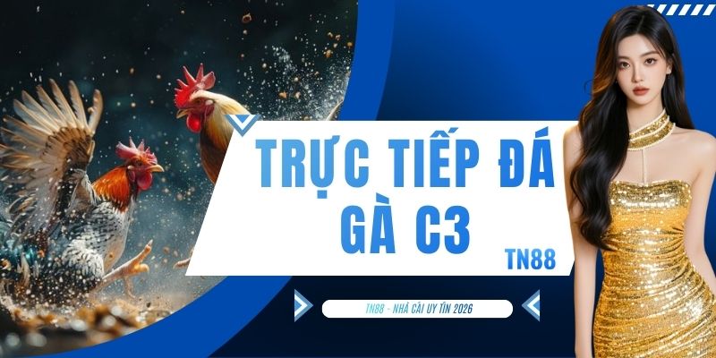 Trực Tiếp Đá Gà C3